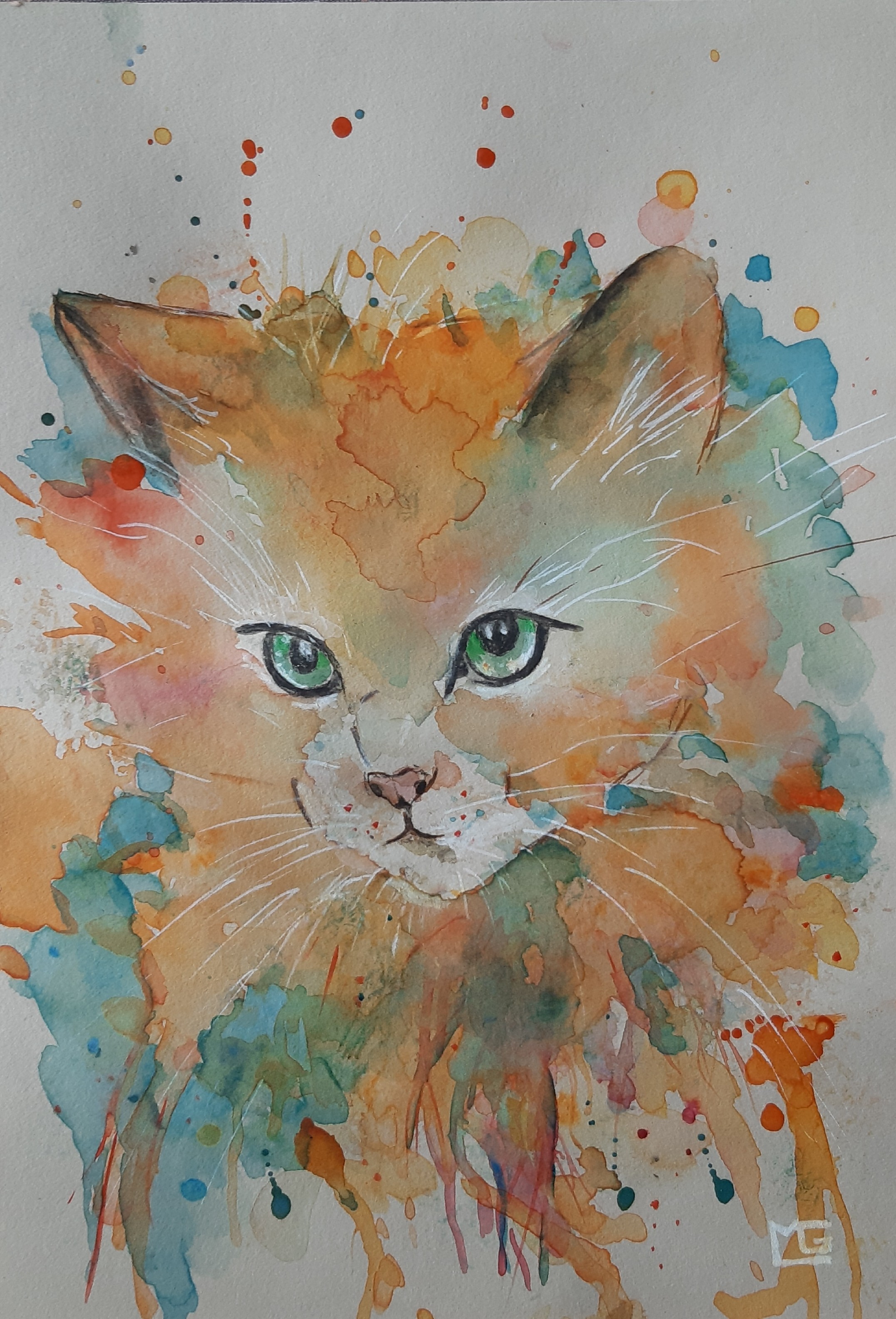 Chaton